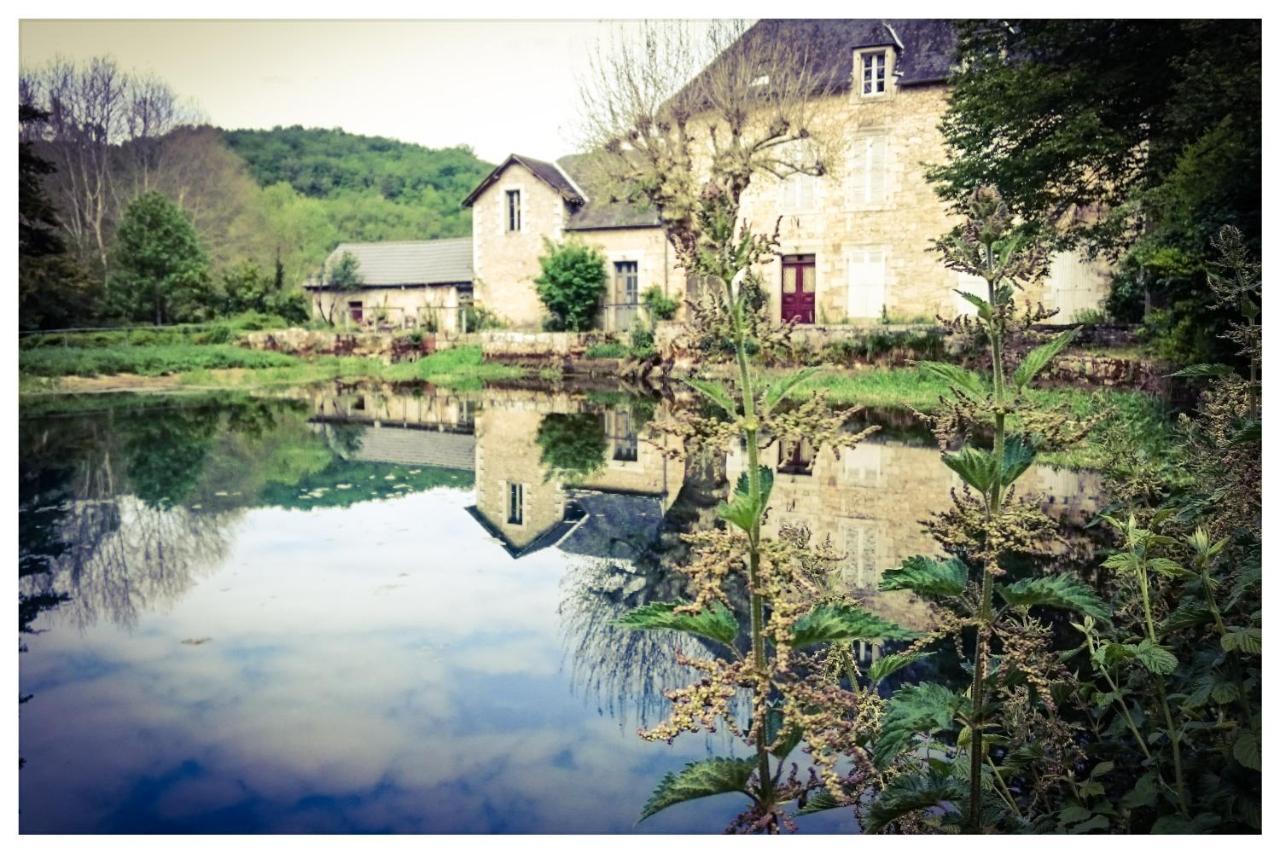 Bed and Breakfast O Reve De Gabriel Saint-Amand-de-Coly Экстерьер фото